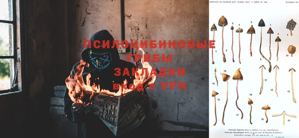 гашик Остров