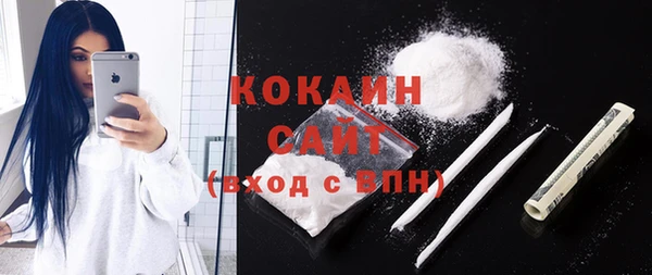 молекула духа Осинники