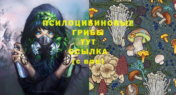 шишки Алексеевка