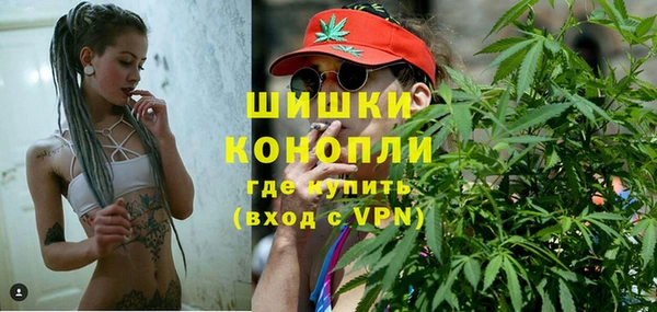 амф Арсеньев
