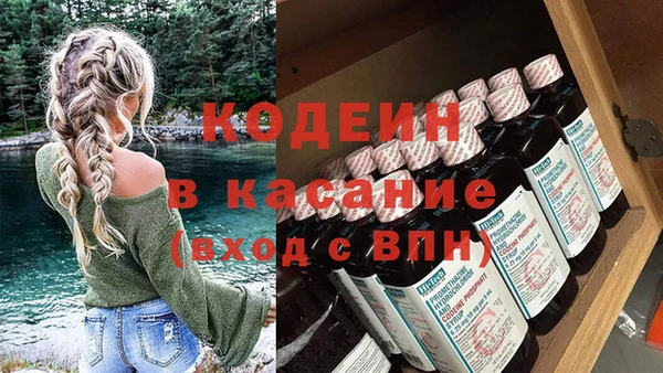 индика Осташков