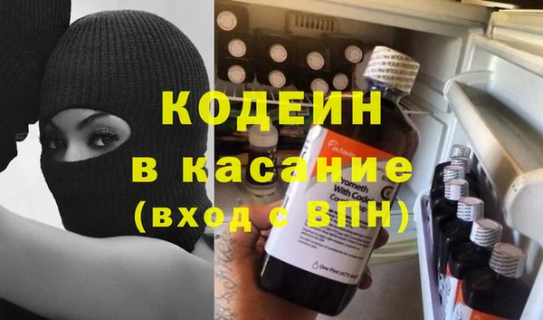 индика Осташков